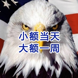 若羌要账公司